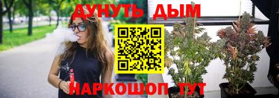 шишки Абинск