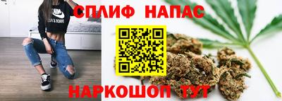 шишки Абинск