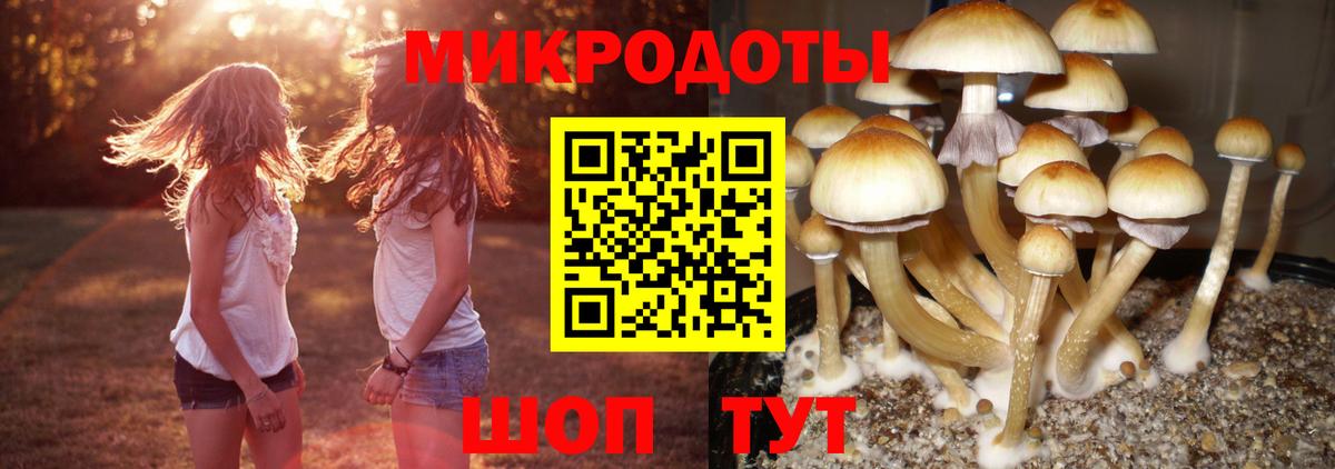 Галлюциногенные грибы прущие грибы  Вход с VPN  Анапа  Псилоцибиновые грибы GOLDEN TEACHER 